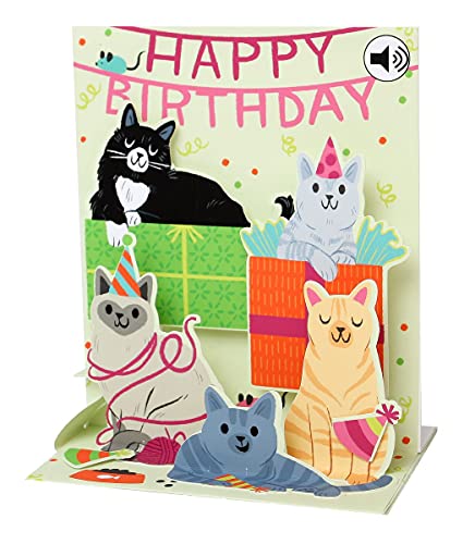 Up With Paper Pop-Up Sight 'N Sound Greeting Card - Feline Birthday, green, black, grey, orange, white