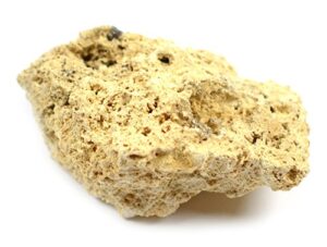 travertine specimen (sedimentary rock), approx. 1" (3cm)
