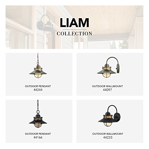 Liam 1-Light Outdoor/Indoor Pendant, Black, Matte Finish,44166