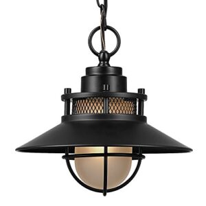 Liam 1-Light Outdoor/Indoor Pendant, Black, Matte Finish,44166