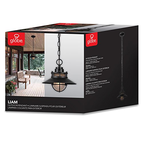 Liam 1-Light Outdoor/Indoor Pendant, Black, Matte Finish,44166