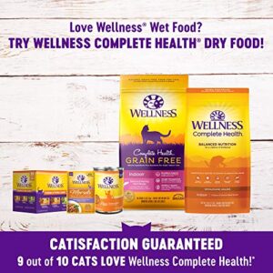 Wellness Complete Health Gravies Grain Free Canned Cat Food, Chicken Dinner, 3 Ounces,Count 12(Pack of 1)