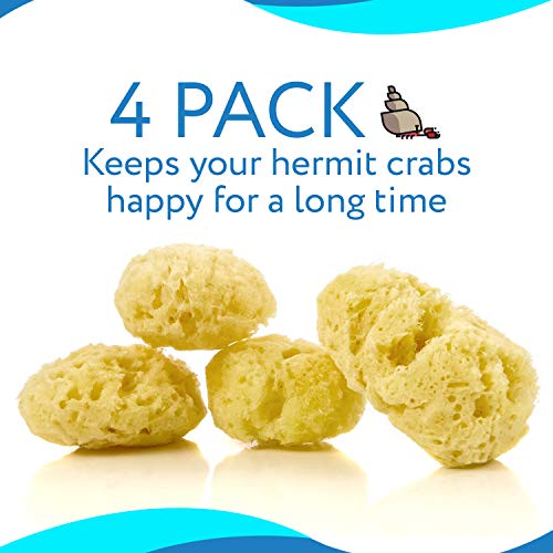 Evergreen Pet Supplies 4-Pack of Natural Hermit Crab Sea Sponges - All Natural Sponge for Crabs - Assists Safer Drinking, Provides Nutrients, Balances Tank Humidity