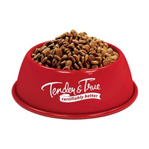 Tender & True Antibiotic-Free Turkey & Brown Rice Recipe Dog Food, 4 lb