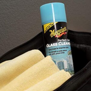 Meguiar's G190719 Perfect Clarity Glass Cleaner, 19 oz