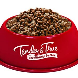 Tender & True Pet Nutrition Antibiotic-Free Chicken & Brown Rice Recipe Cat Food, 3 lb (32001)