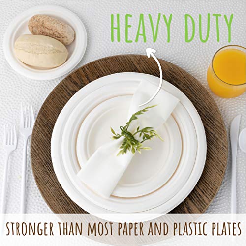 brheez 6 in Disposable Plates Paper Plates Alternative Compostable Plates Heavy Duty [Pack of 60] Eco-Friendly 100% Plant Fiber Biodegradable