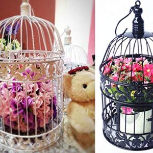 PET SHOW Round Birdcages Wedding Gift Cards Holder Metal Wall Hanging Bird Cage for Small Birds Party Indoor Ourdoor Decoration 10.6“ Black Pack of 1