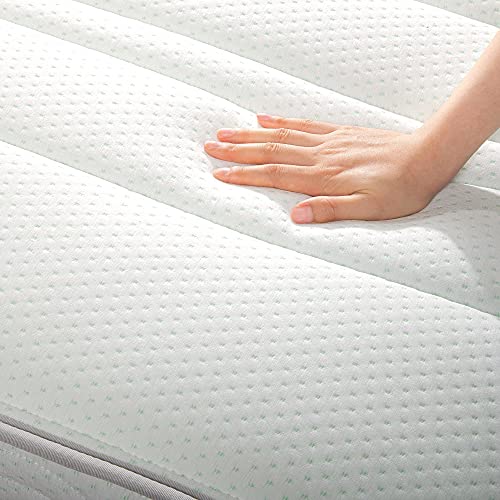 Zinus 12 Inch Foam and SpringMattress / CertiPUR-US Certified Foams /Mattress-in-a-Box, Queen