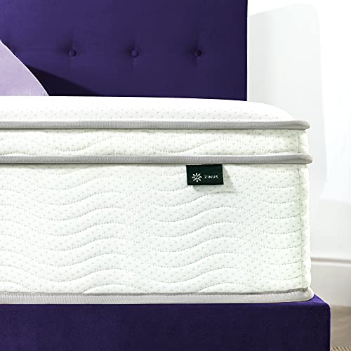 Zinus 12 Inch Foam and SpringMattress / CertiPUR-US Certified Foams /Mattress-in-a-Box, Queen