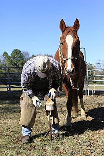 Basic Horse Hoof Trimmer Set – Electric Plug in - 110 Volt - Accessories Included