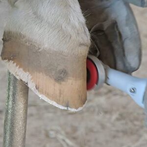 Basic Horse Hoof Trimmer Set – Electric Plug in - 110 Volt - Accessories Included
