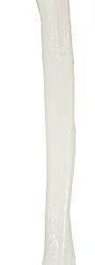 Axis Scientific Humerus Bone Model?–?Left Bone Replica, Features Natural Textures and Landmarks of Human Humerus Bone – Includes Detailed?Product Manual