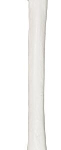 Axis Scientific Femur Bone Model | Left | Cast from a Real Human Femur Bone l Upper Leg Bone Model Has Realistic Texture and Important Bony Landmarks | Includes Product Manual