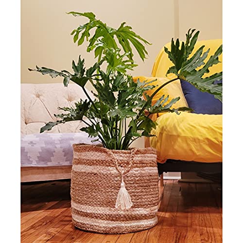 LR Home - BASKE16017NBH017H Montego Storage Basket, 17", Natural Jute