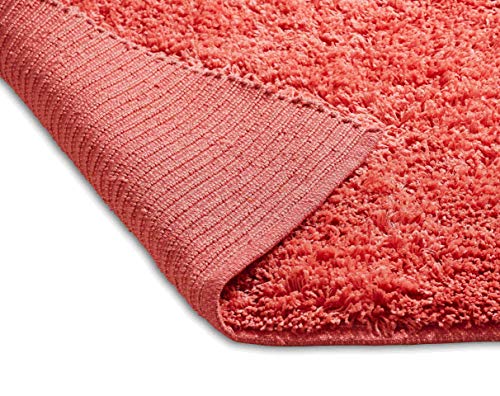 Chesapeake Microfiber Coral Shag Area Rug (5'x7')