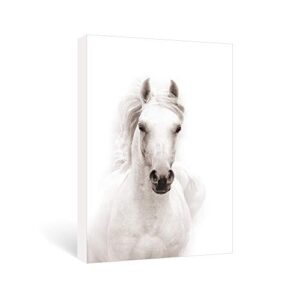 sumgar modern wall art bedroom black and white horse pictures office farmhouse animal canvas paintings contemporary prints framed artwork living room home decorations gifts,16x24 inch