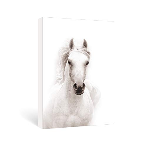 SUMGAR Modern Wall Art Bedroom Black and White Horse Pictures Office Farmhouse Animal Canvas Paintings Contemporary Prints Framed Artwork Living Room Home Decorations Gifts,16x24 inch