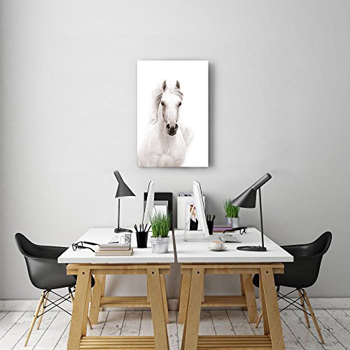 SUMGAR Modern Wall Art Bedroom Black and White Horse Pictures Office Farmhouse Animal Canvas Paintings Contemporary Prints Framed Artwork Living Room Home Decorations Gifts,16x24 inch