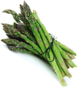 10 jersey knight asparagus plants / bare-root crowns -- organic non-gmo