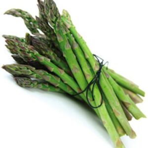 10 JERSEY KNIGHT Asparagus Plants / bare-root crowns -- Organic NON-GMO