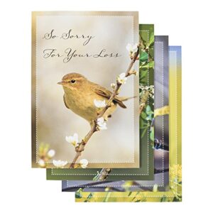 dayspring - sympathy - comforting thoughts - 12 boxed cards, kjv (60934),multi
