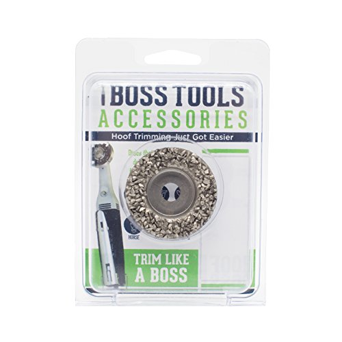 Hoof Boss Silver Coarse Grit Flat 2" Disc