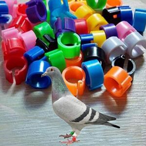 ( Pack of 100 Pcs ) ，Bird Rings Multicolor Colorful Leg Bands for Pigeon Parrot Finch Canary Hatch Chicks Bantam Poultry Bayonet Rings ，8mm inside diameter
