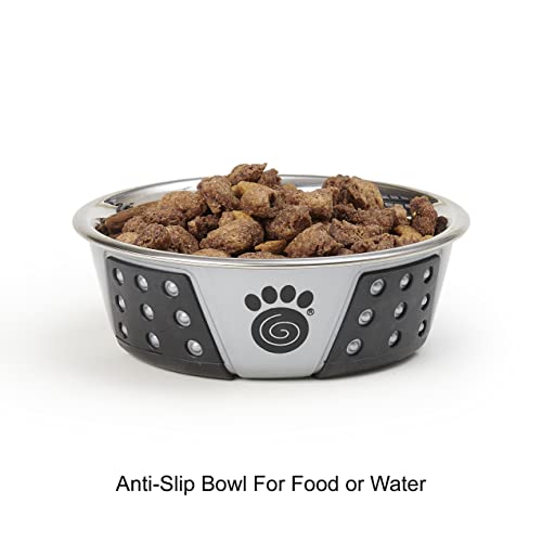 PetRageous 13097 Fiji Stainless Steel Non-Slip Dishwasher Safe Dog Bowl 1.75-Cup Capacity 5.5-inch Diameter 1.75-inch Tall for Small and Medium Size Dogs and Cats, Light Grey and Black