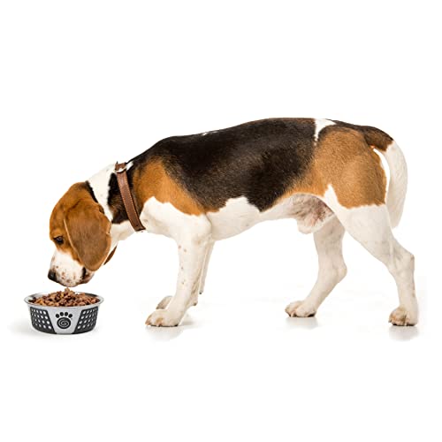 PetRageous 13098 Fiji Stainless Steel Non-Slip Dishwasher Safe Dog Bowl 3.75-Cup Capacity 6.75-inch Diameter 2.5-inch Tall for Medium and Large Dogs, Light Grey and Black