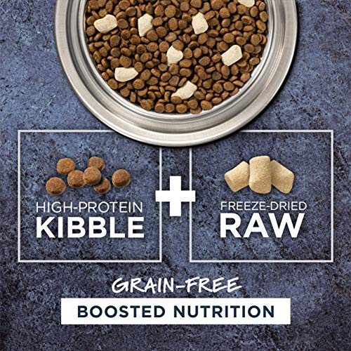 Instinct Raw Boost Grain Free Recipe with Real Chicken Natural Dry Cat Food, 10 lb. Bag