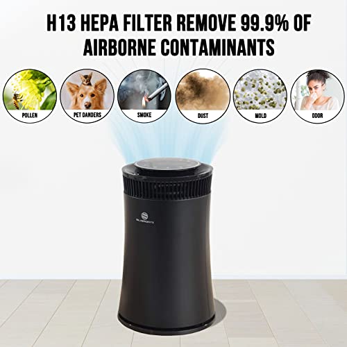 HEPA Air Purifiers for Home, Large Room Air Cleaner, Air Purifier for Bedroom, H13 True HEPA Filter Removes Odor, Pets Dander, Dust, Smoke, Pollen, For Office & Living Room - SilverOnyx 5-Speed Black