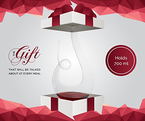 Godinger Wine Decanter, Crystal Wine Decanter Carafe, Wine Aerator, Wine Gifts