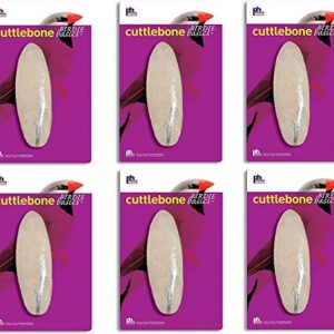 (6 Pack) Prevue Pet Cuttlebone Large 6 Inch