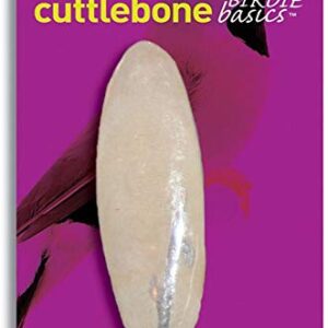 (6 Pack) Prevue Pet Cuttlebone Large 6 Inch