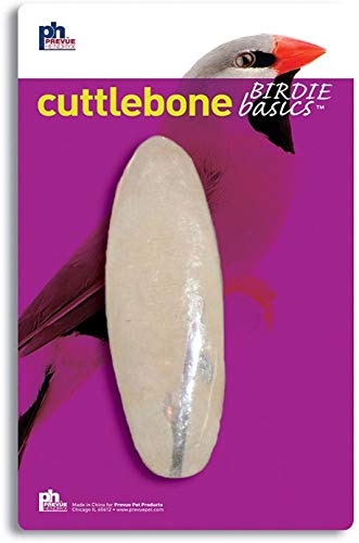 (6 Pack) Prevue Pet Cuttlebone Large 6 Inch