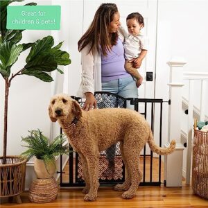 Summer Modern Home Walk-Thru Safety Pet and Baby Gate, 28"-42" Wide, 30" Tall, Pressure or Hardware Mounted, Install on Wall or Banister in Doorway or Stairway, Auto Close Door - Espresso