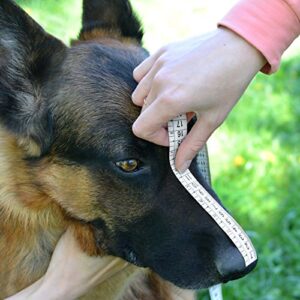 BRONZEDOG Wire Dog Muzzle German Shepherd for Medium Large Dogs Adjustable Durable Metal Basket for Biting Chewing Barking (M)