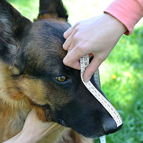 BRONZEDOG Wire Dog Muzzle German Shepherd for Medium Large Dogs Adjustable Durable Metal Basket for Biting Chewing Barking (M)