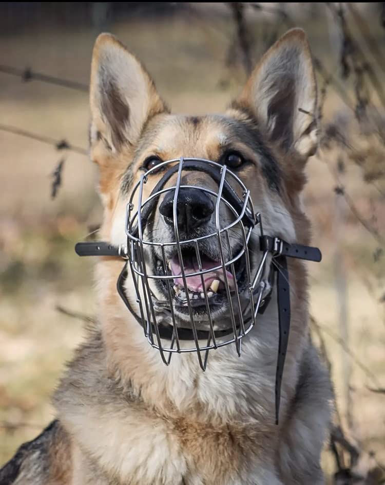 BRONZEDOG Wire Dog Muzzle German Shepherd for Medium Large Dogs Adjustable Durable Metal Basket for Biting Chewing Barking (M)