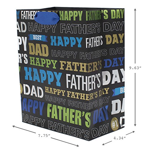 Hallmark 9" Medium Father's Day Gift Bag with Tissue Paper (Black, Green, Blue, Gold) "Best Dad" "Happy Father's Day"