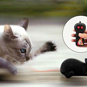 Giveme5 Wireless Remote Control Mock Fake Rat Mouse Mice RC Toy Prank Joke Scary Trick Bugs for Party and for Cat Puppy Funny Toy (Black)