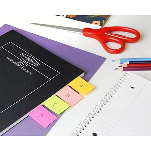 2 Pack Divider Sticky Notes Memo Set for Binders, Notebooks, Planners w/ Index Tabs, Flags (Multicolored)