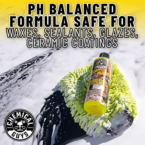 Chemical Guys CWS20216 Tough Mudder Foaming Truck, Off Road, ATV and RV Heavy Duty Wash Soap, (Works with Foam Cannons, Foam Guns or Bucket Washes), 16 fl oz, Lemon Scent