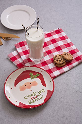 DII Seasonal Holiday Baking Collection Decorative Kitchen Servewantae, 8.3x8.3, Small Santa Cookie Plate