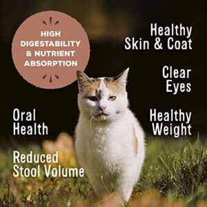 Primal Freeze Dried Cat Food Nuggets Duck, Complete & Balanced Scoop & Serve Healthy Grain Free Raw Cat Food, Crafted in The USA (14 oz)