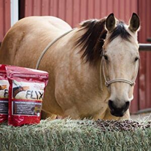 Flix 9 lb, 100% Flaxseed Healthy Treats for Horses, High in Omega-3