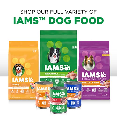 IAMS PROACTIVE HEALTH Adult Wet Dog Food Classic Ground with Chicken and Whole Grain Rice, 6-Pack of 13 oz. Cans