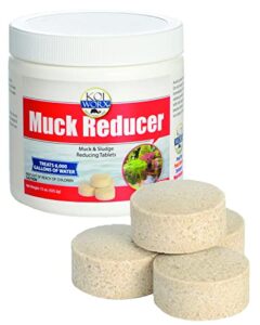 koiworx muck reducer, 145 tablets treats up to 6,000 gallons of water, beneficial bacteria reduces muck, sludge and organic build up, formulated for ponds, water features and safe for koi