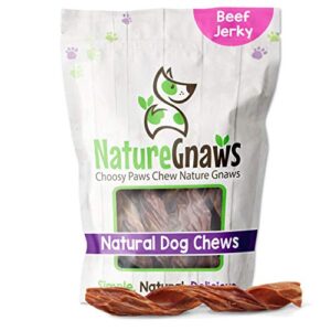 Nature Gnaws Beef Jerky Springs for Dogs - Premium Natural Beef Gullet Sticks - Simple Single Ingredient Tasty Dog Chew Treats - Rawhide Free - 7-8 Inch